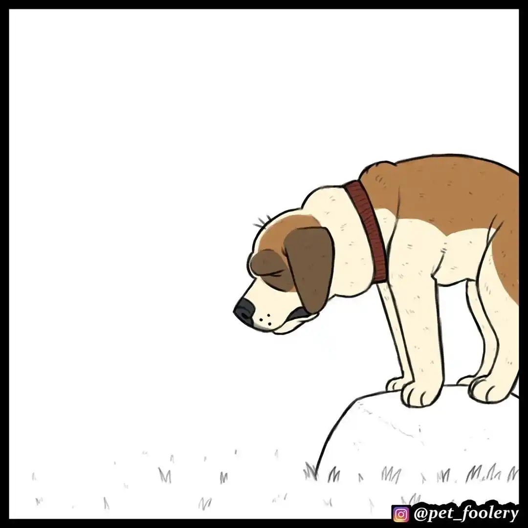 Pixie And Brutus capítulo 45, página 4
