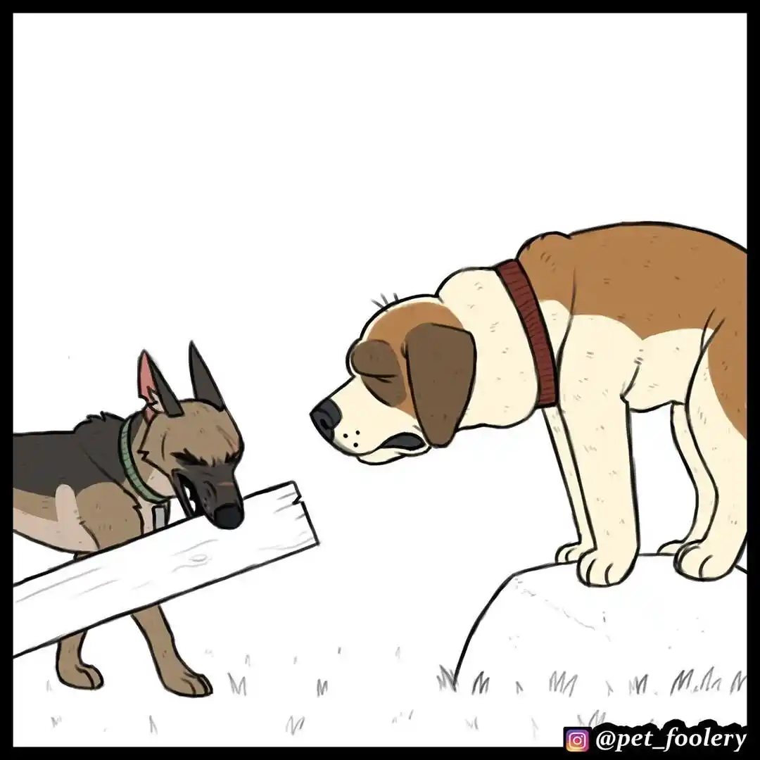 Pixie And Brutus capítulo 45, página 5