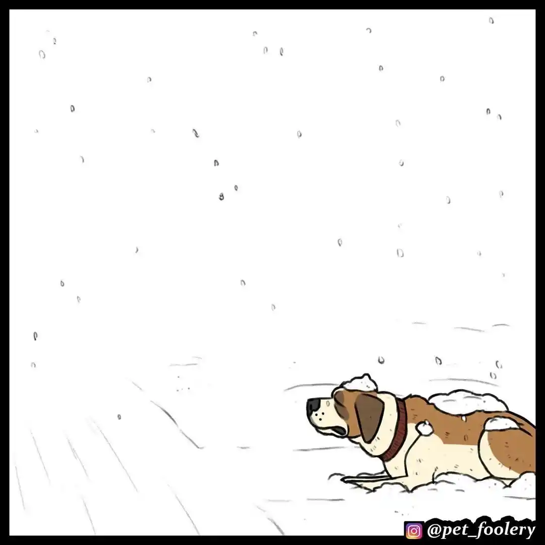Pixie And Brutus capítulo 46, página 3