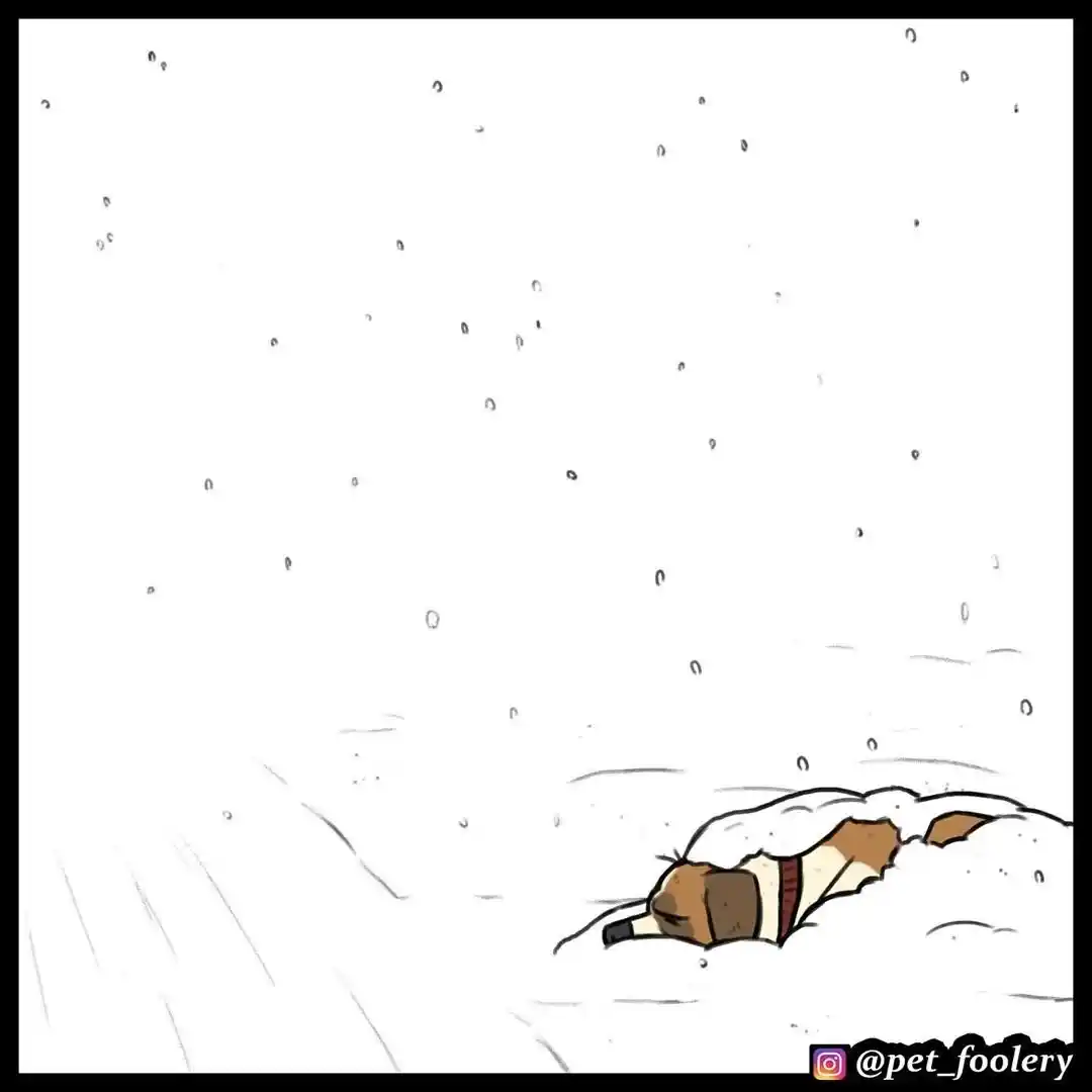 Pixie And Brutus capítulo 46, página 4