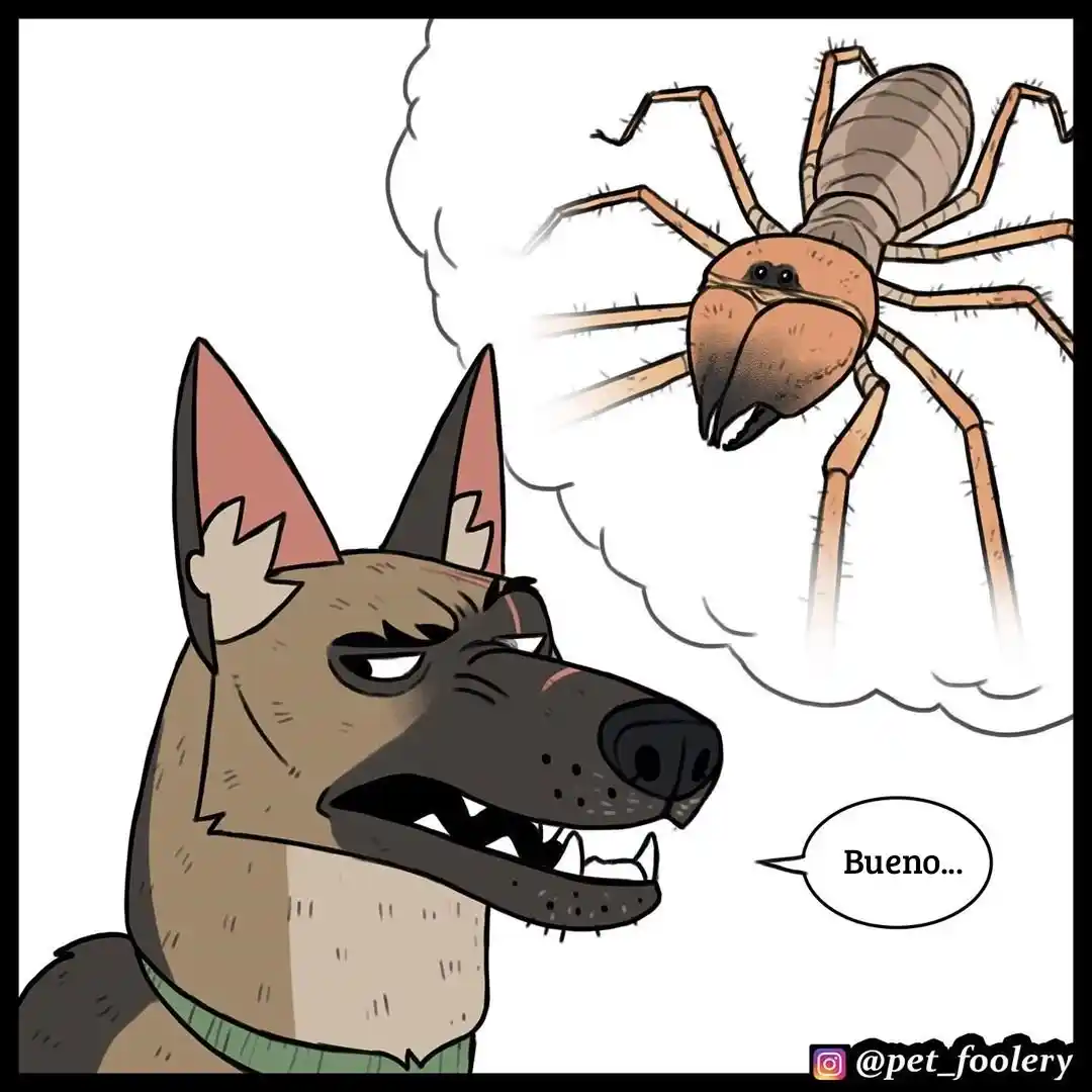 Pixie And Brutus capítulo 48, página 4