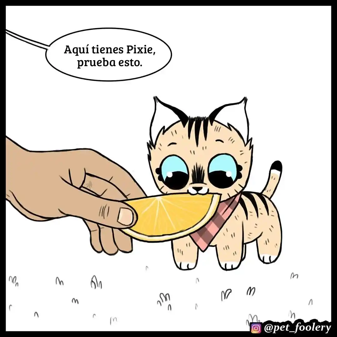 Pixie And Brutus capítulo 49, página 1