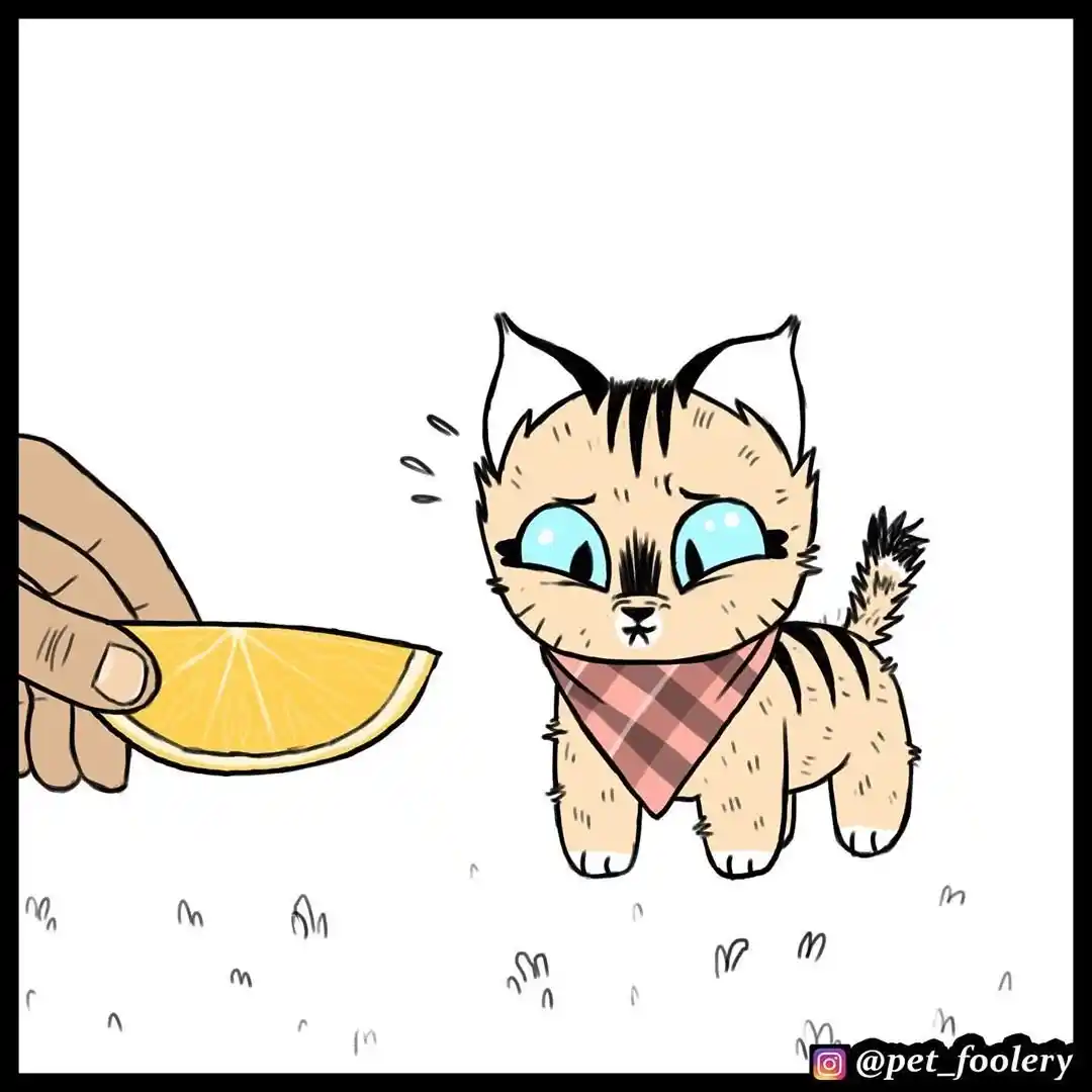 Pixie And Brutus capítulo 49, página 2