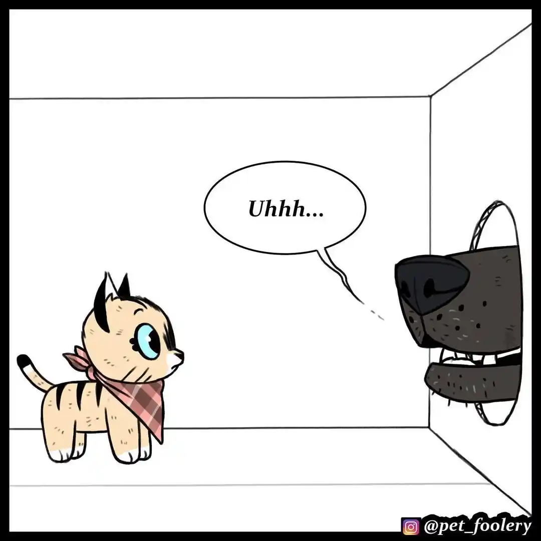Pixie And Brutus capítulo 51, página 6