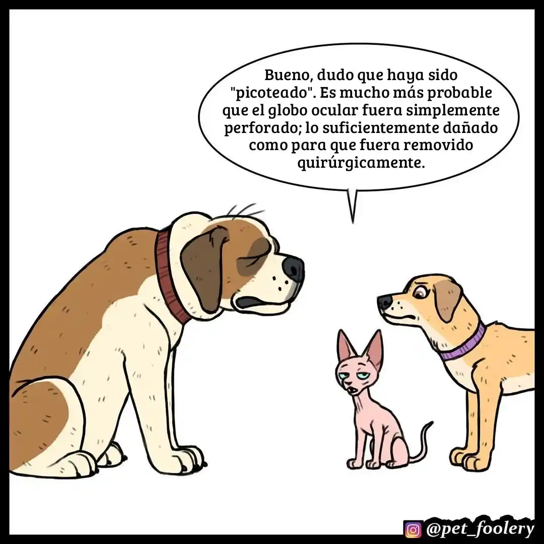 Pixie And Brutus capítulo 53, página 6