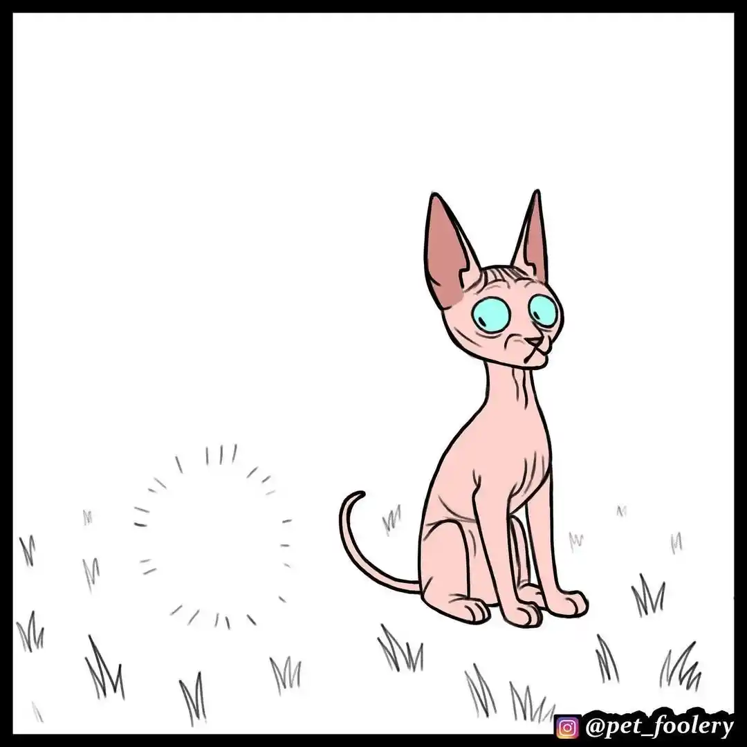 Pixie And Brutus capítulo 55, página 3