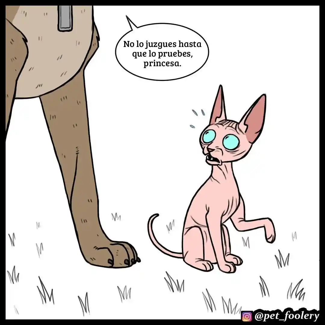 Pixie And Brutus capítulo 55, página 5