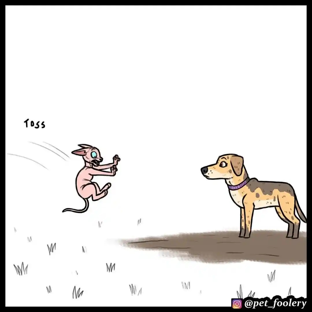 Pixie And Brutus capítulo 55, página 6