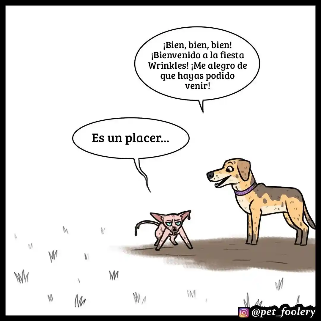 Pixie And Brutus capítulo 55, página 8