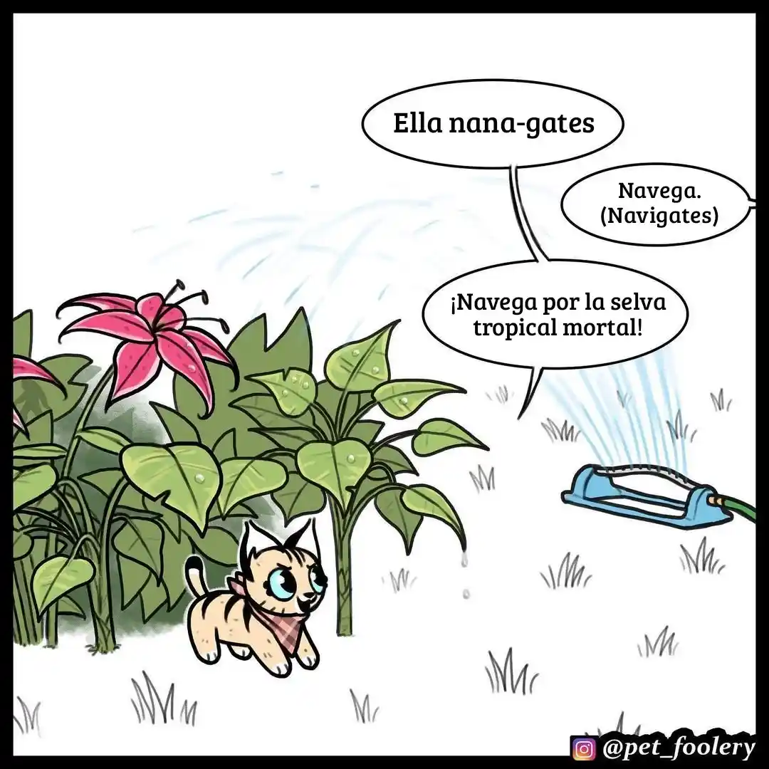 Pixie And Brutus capítulo 56, página 2