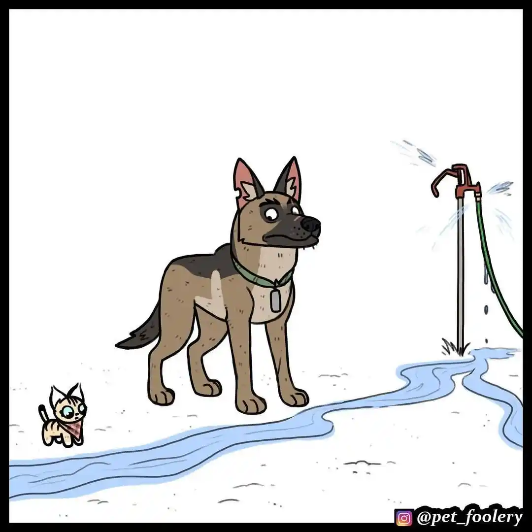 Pixie And Brutus capítulo 56, página 4