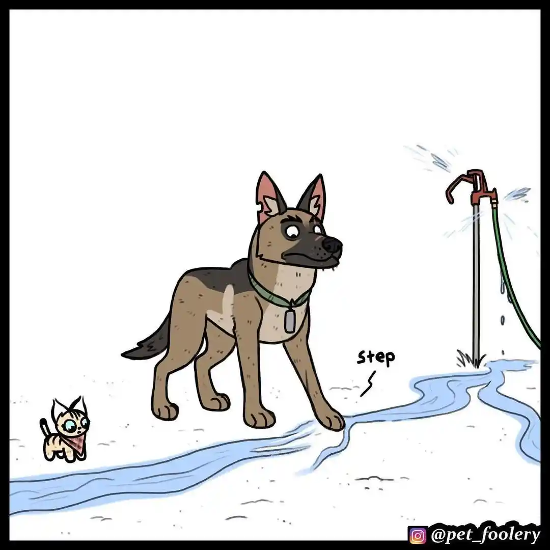 Pixie And Brutus capítulo 56, página 5