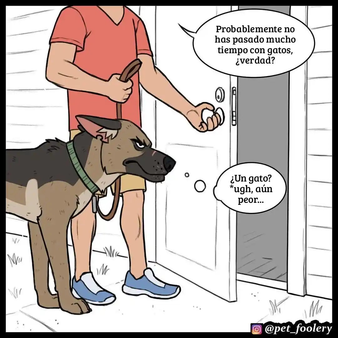Pixie And Brutus capítulo 57, página 4