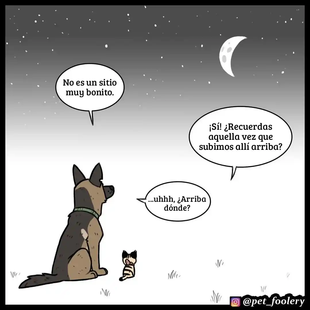 Pixie And Brutus capítulo 60, página 1