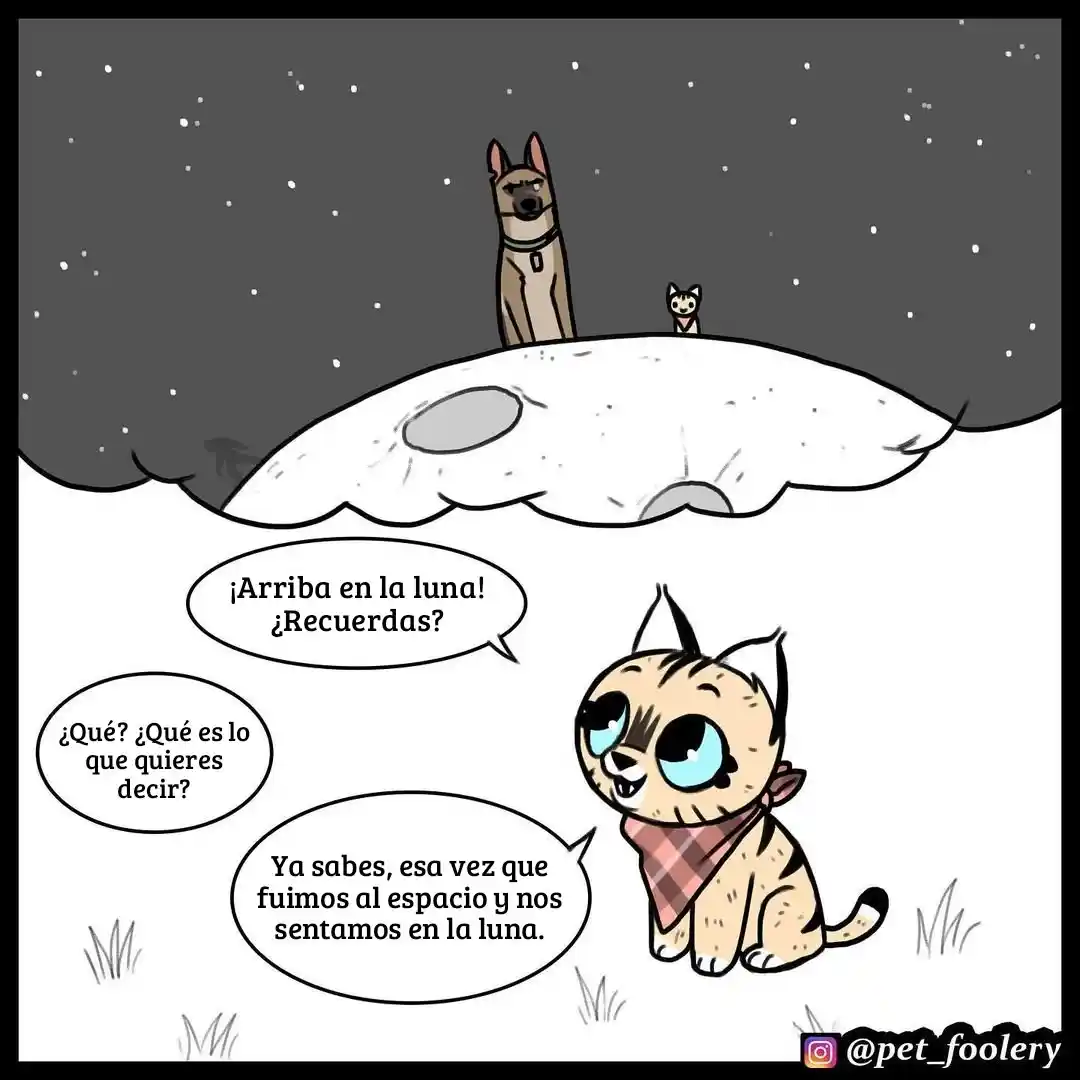 Pixie And Brutus capítulo 60, página 2