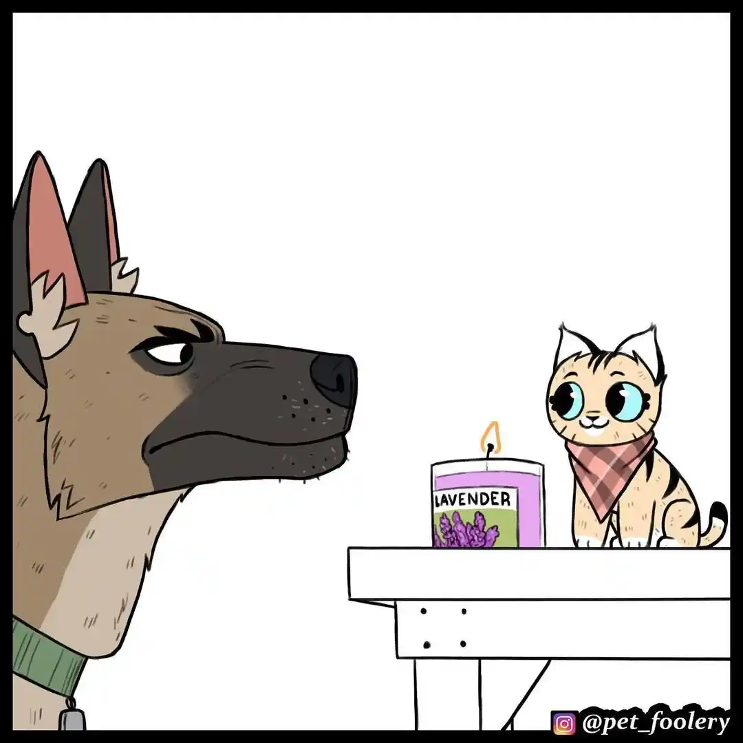 Pixie And Brutus capítulo 62, página 5