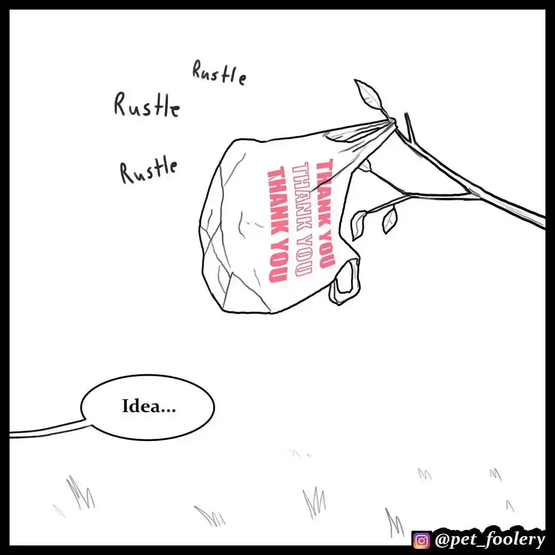 Pixie And Brutus capítulo 63, página 3