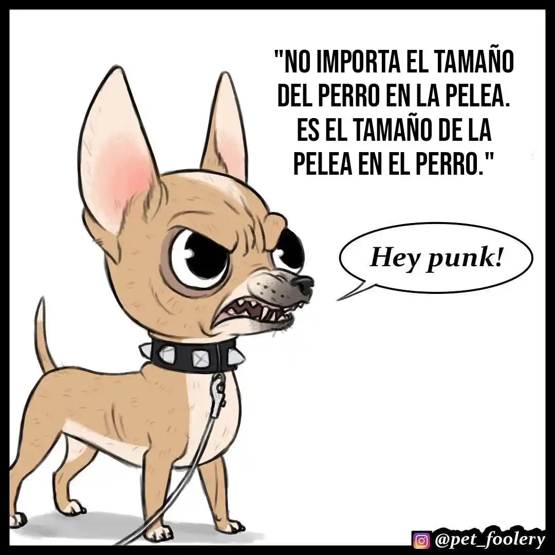 Pixie And Brutus capítulo 64, página 1