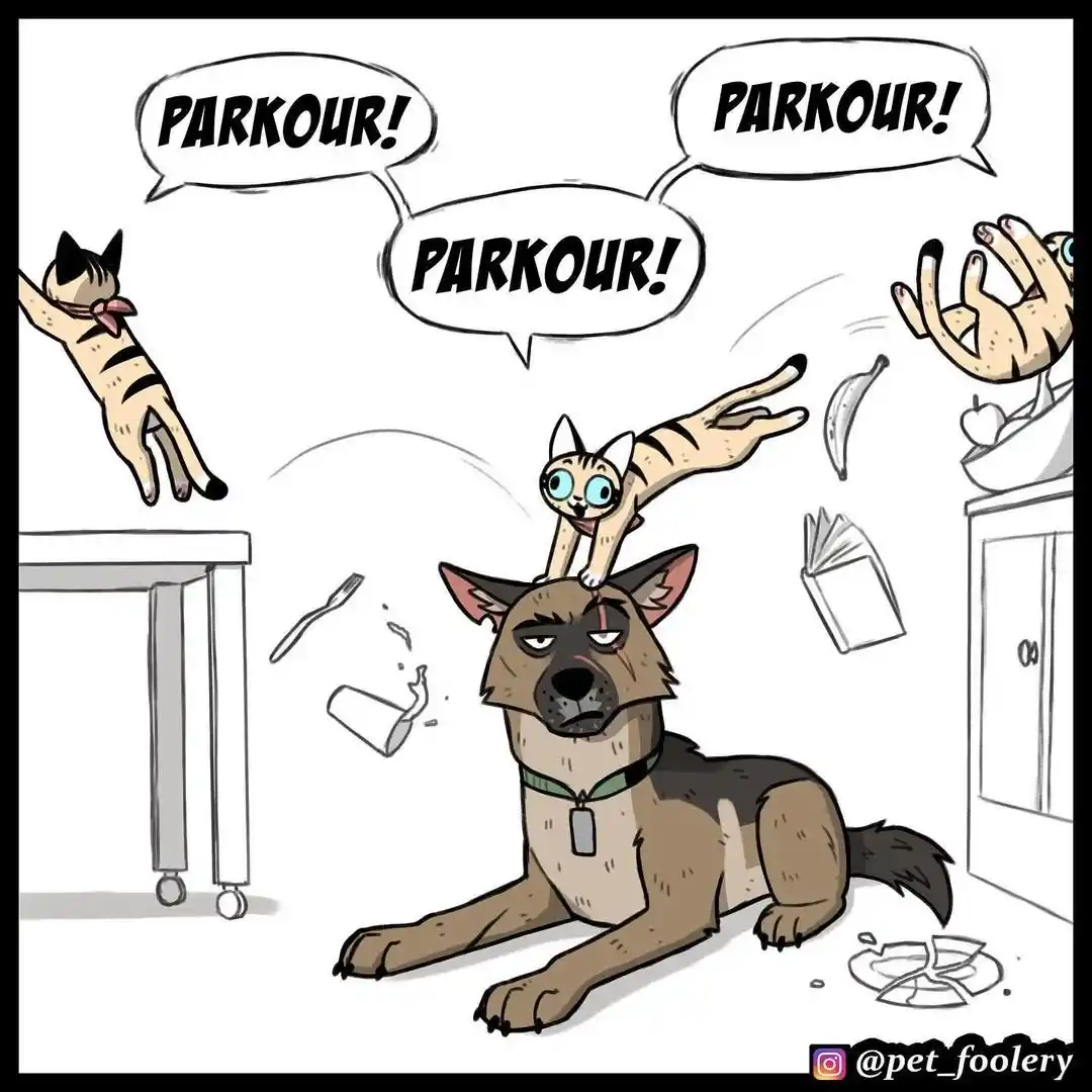 Pixie And Brutus capítulo 66, página 3