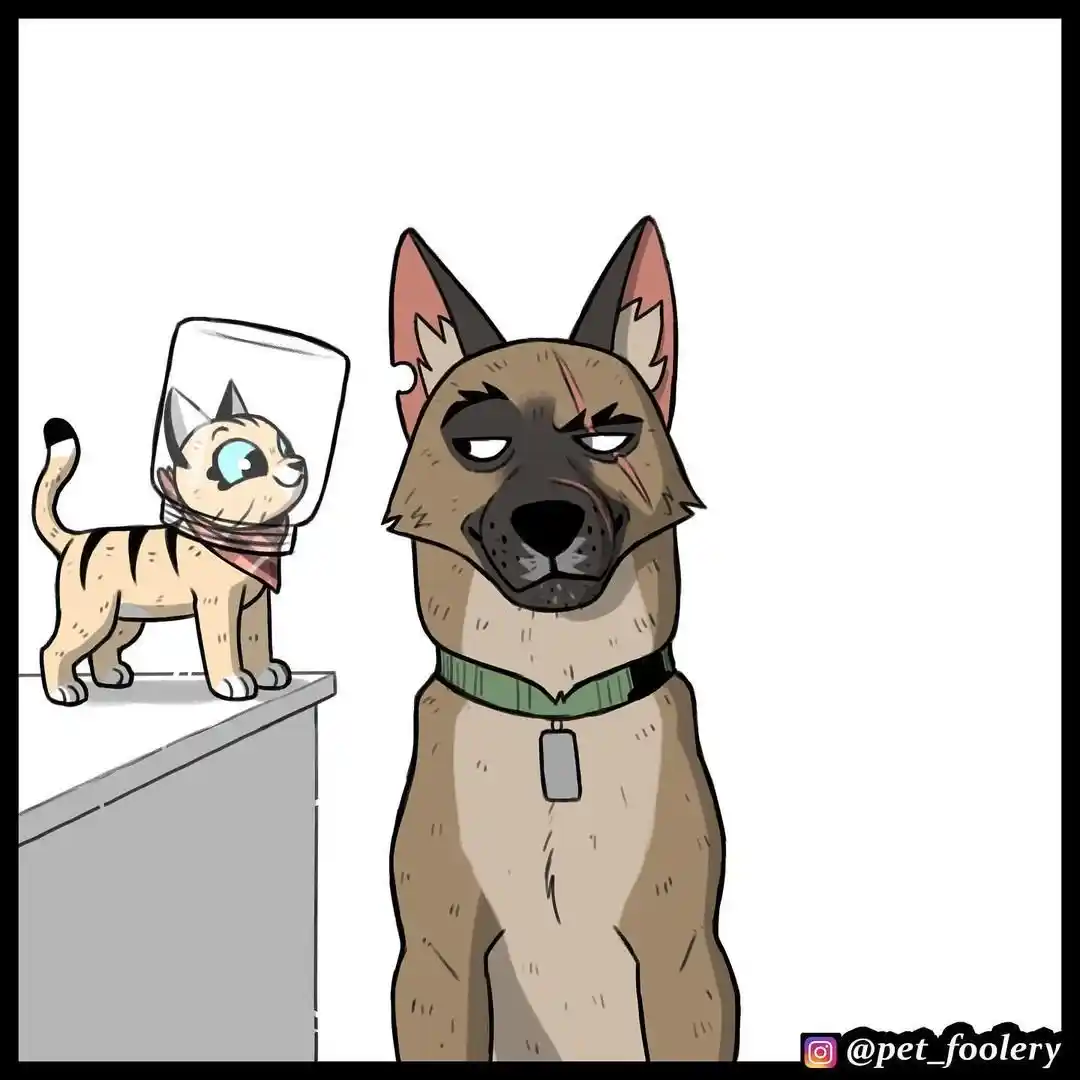Pixie And Brutus capítulo 67, página 7