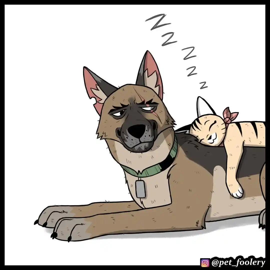 Pixie And Brutus capítulo 67, página 8