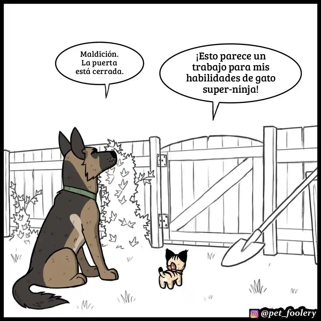 Pixie And Brutus capítulo 68, página 1