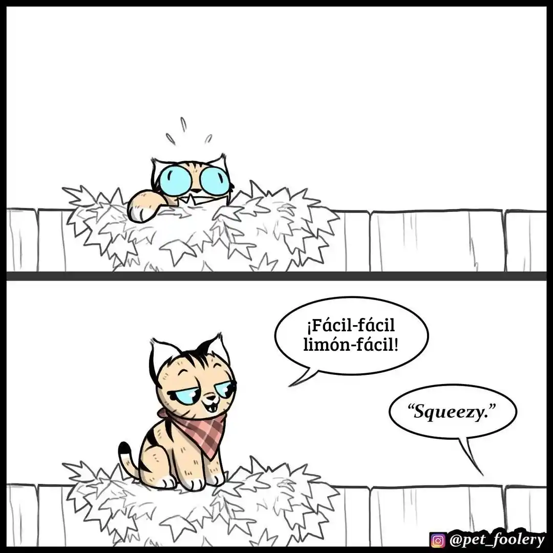 Pixie And Brutus capítulo 68, página 4