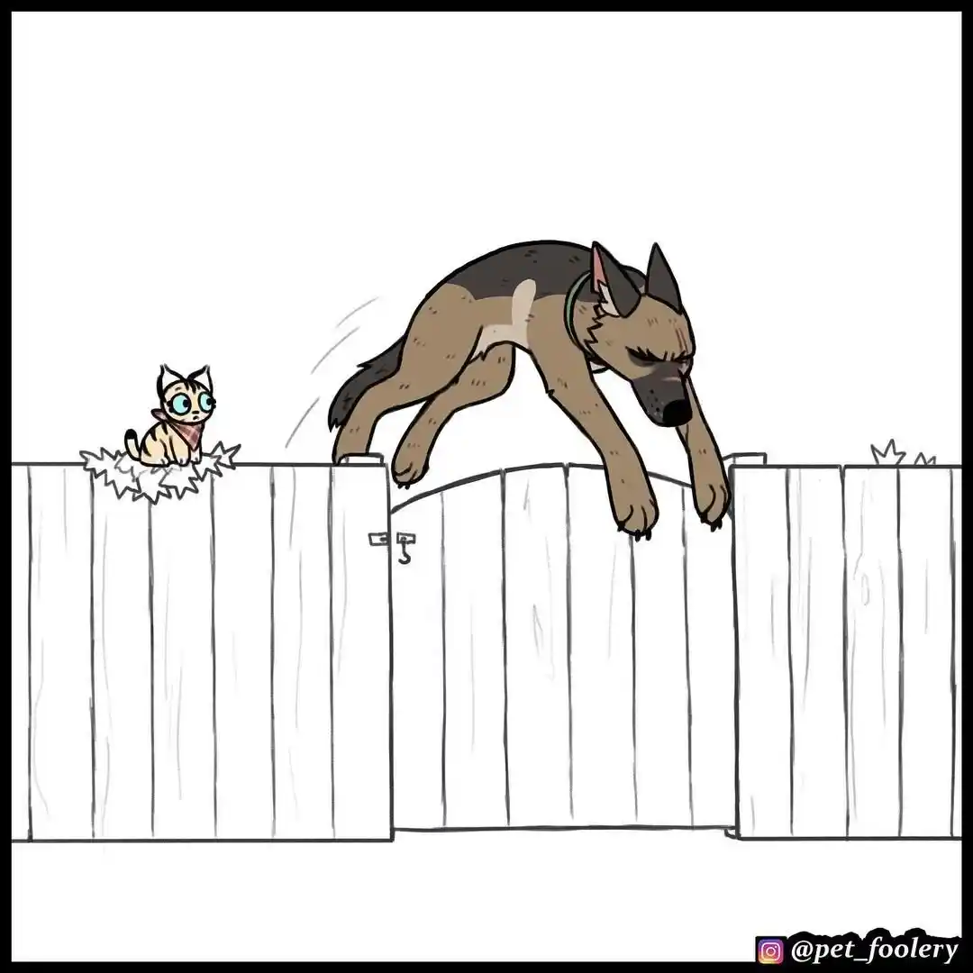 Pixie And Brutus capítulo 68, página 6