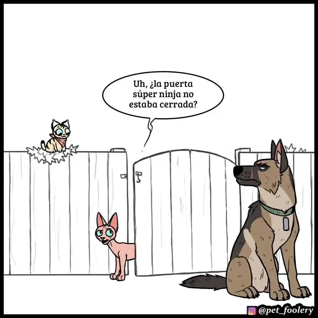 Pixie And Brutus capítulo 68, página 9