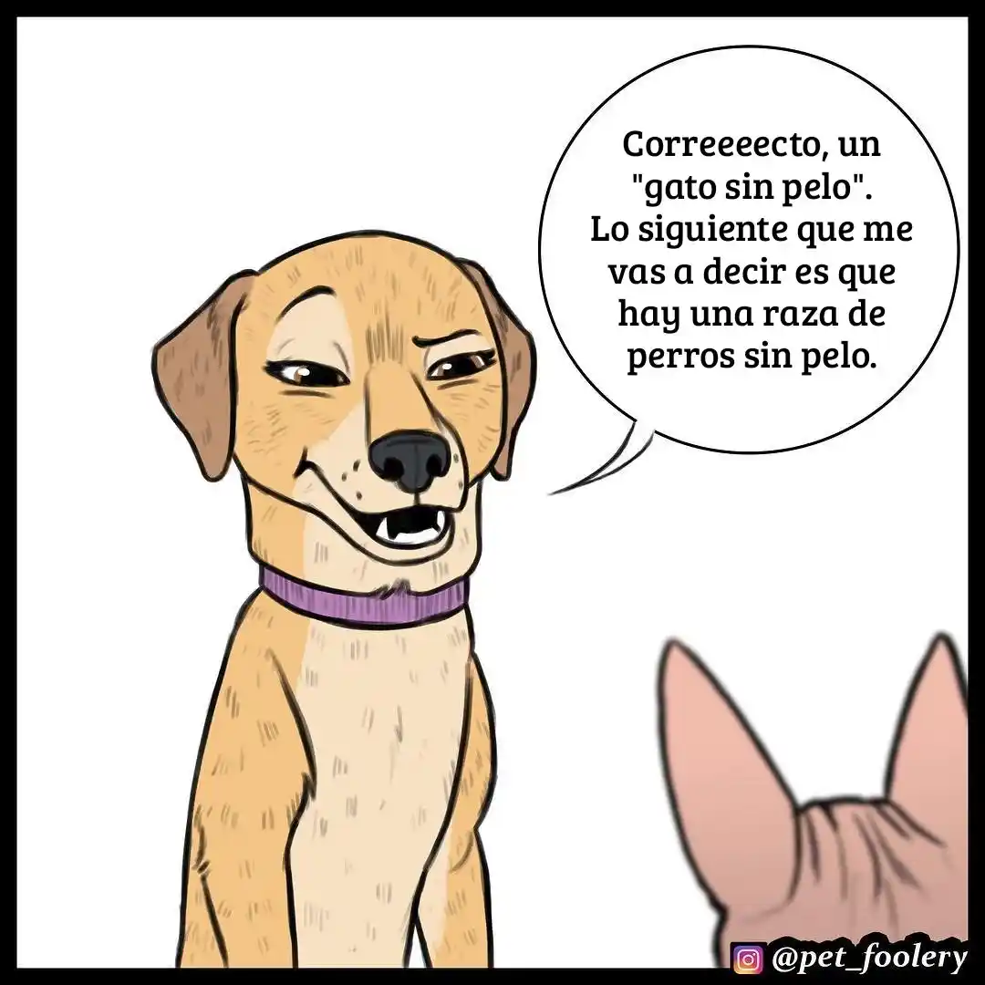 Pixie And Brutus capítulo 7, página 5