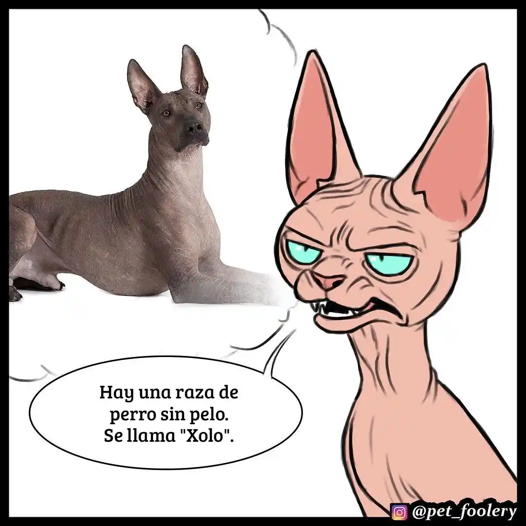 Pixie And Brutus capítulo 7, página 6