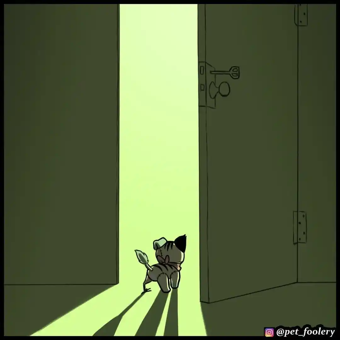 Pixie And Brutus capítulo 73, página 3