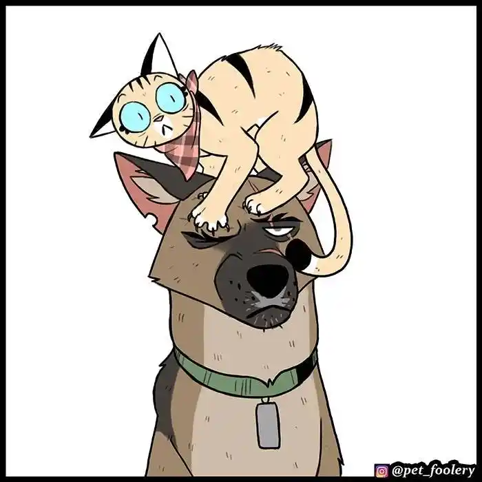 Pixie And Brutus capítulo 74, página 9