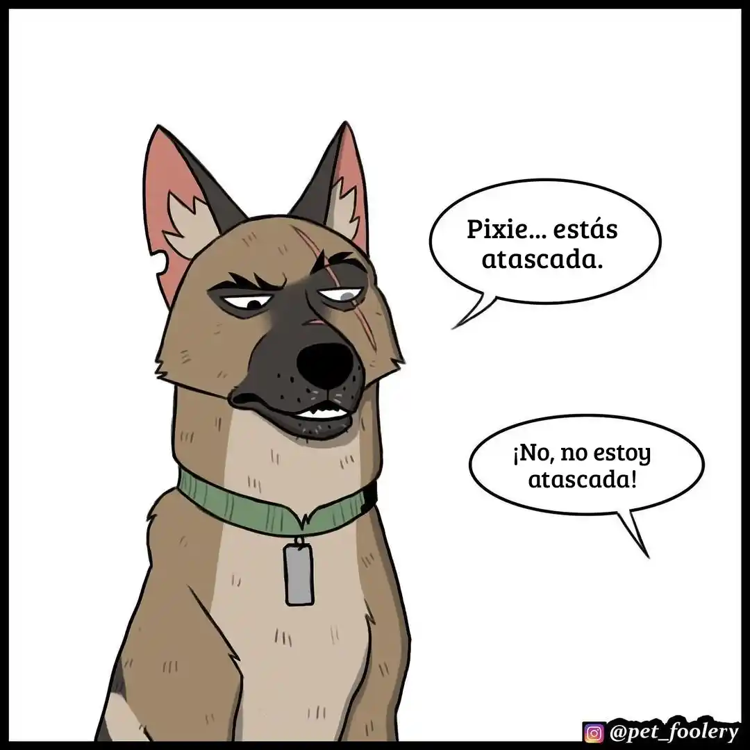 Pixie And Brutus capítulo 76, página 1