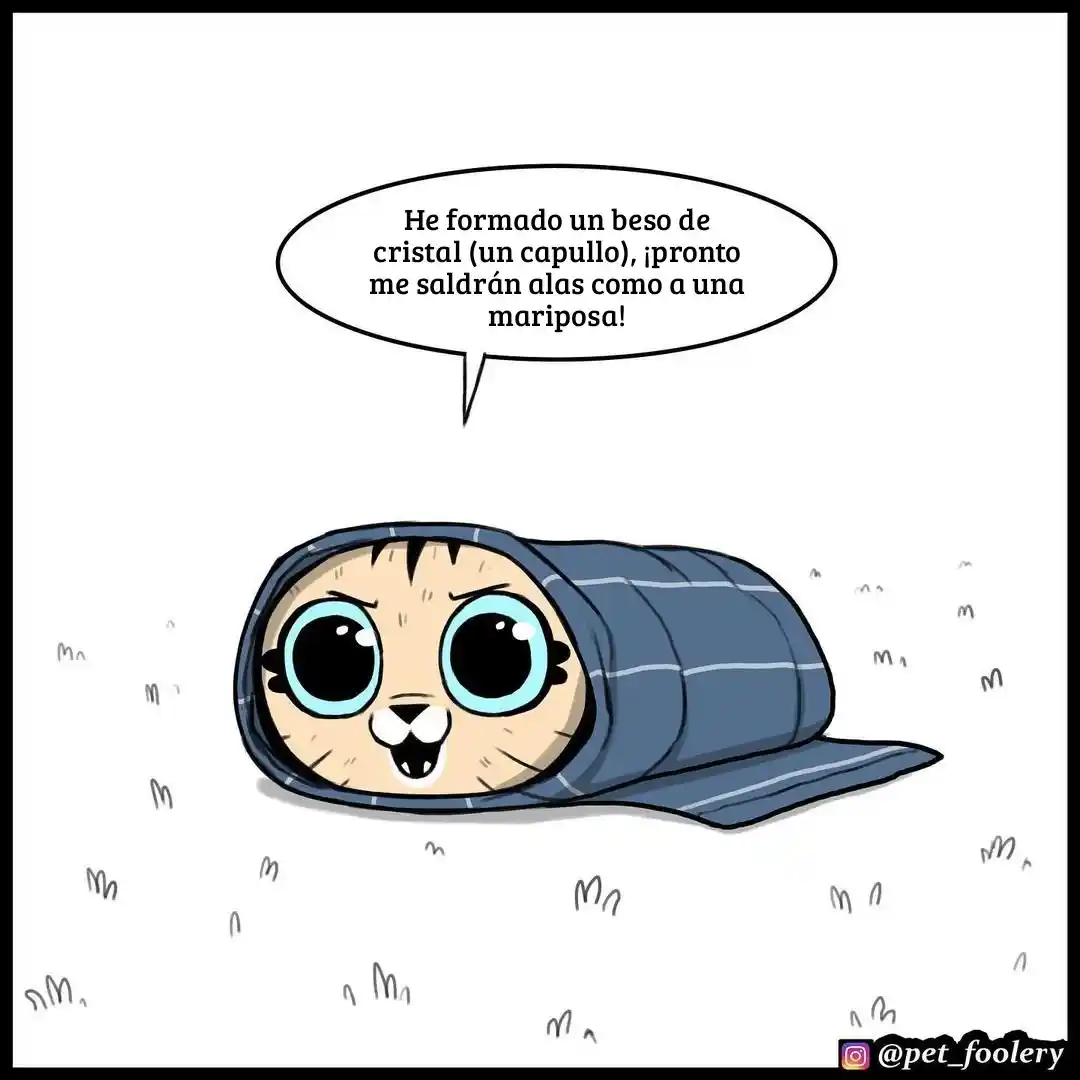 Pixie And Brutus capítulo 76, página 2