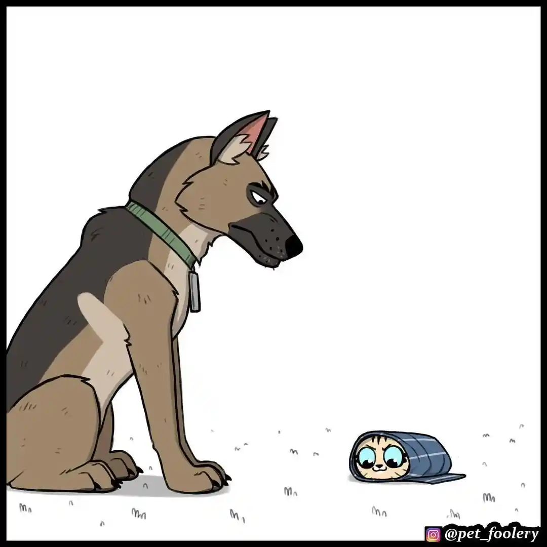 Pixie And Brutus capítulo 76, página 5