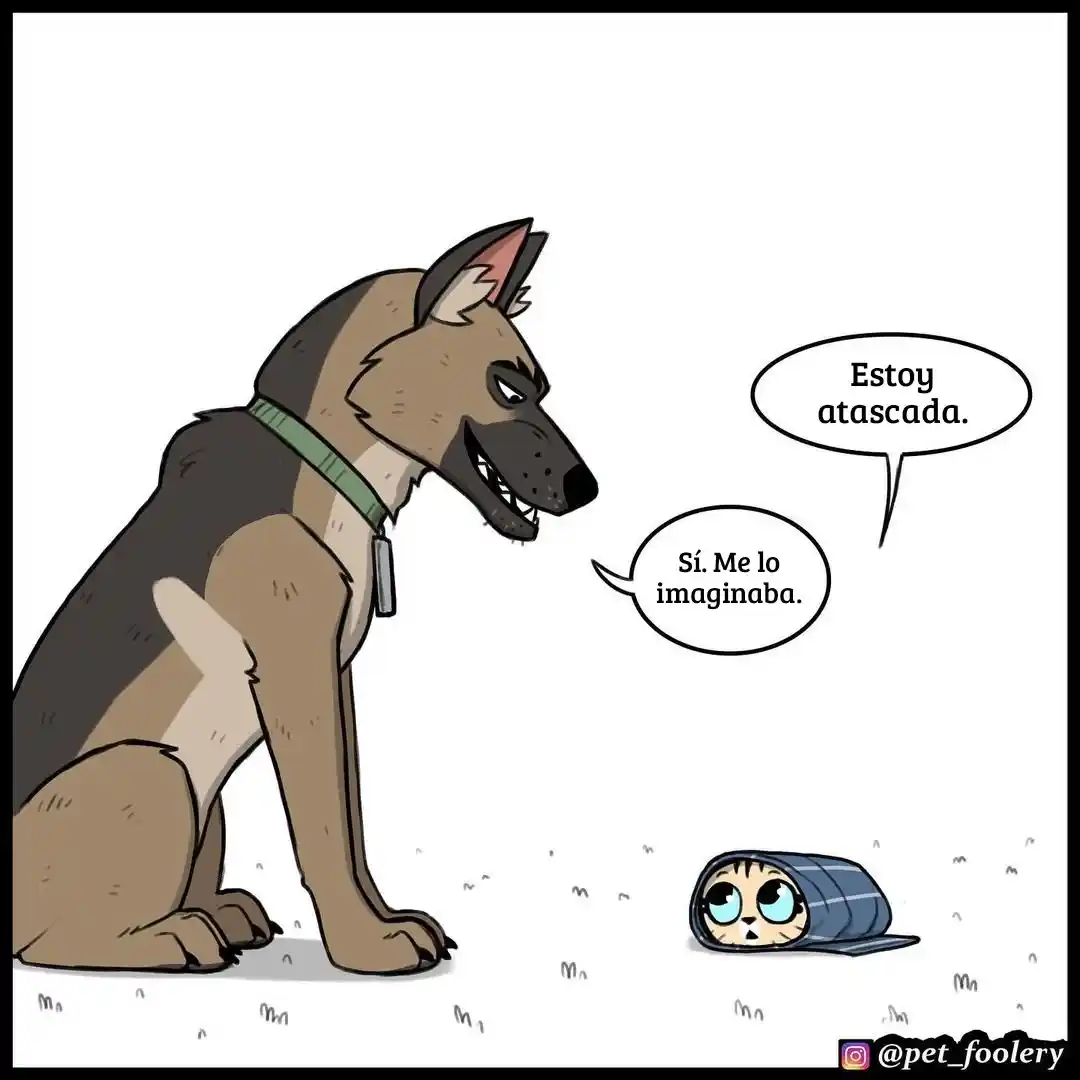 Pixie And Brutus capítulo 76, página 6