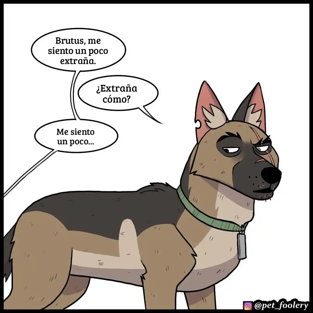 Pixie And Brutus capítulo 78, página 1