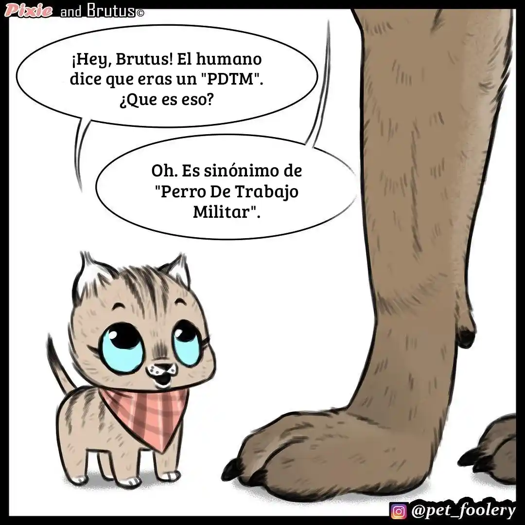 Pixie And Brutus capítulo 8, página 1