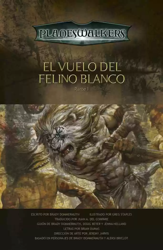 Planeswalker Chronicles capítulo 1, página 2