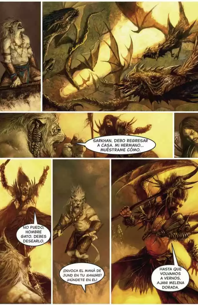 Planeswalker Chronicles capítulo 1, página 21