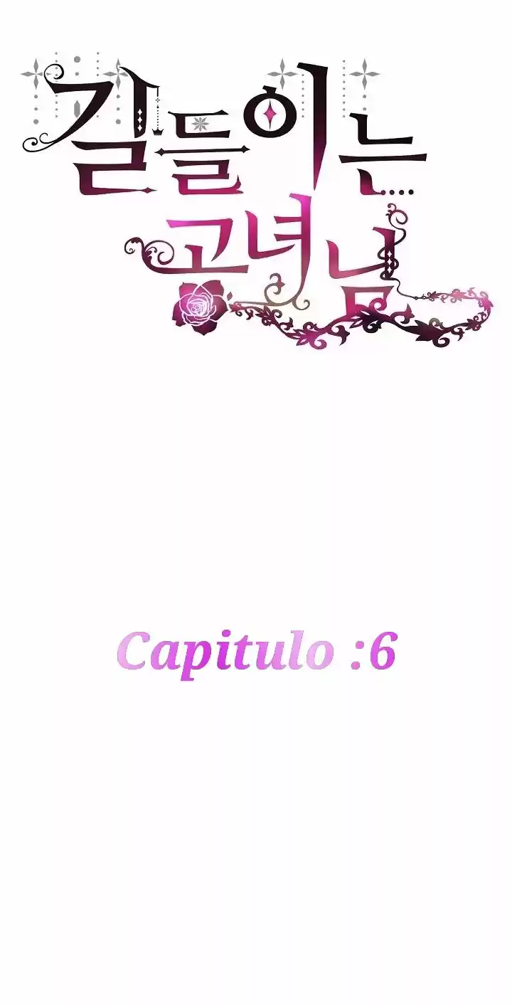 PRINCESA MANSA capítulo 6, página 28