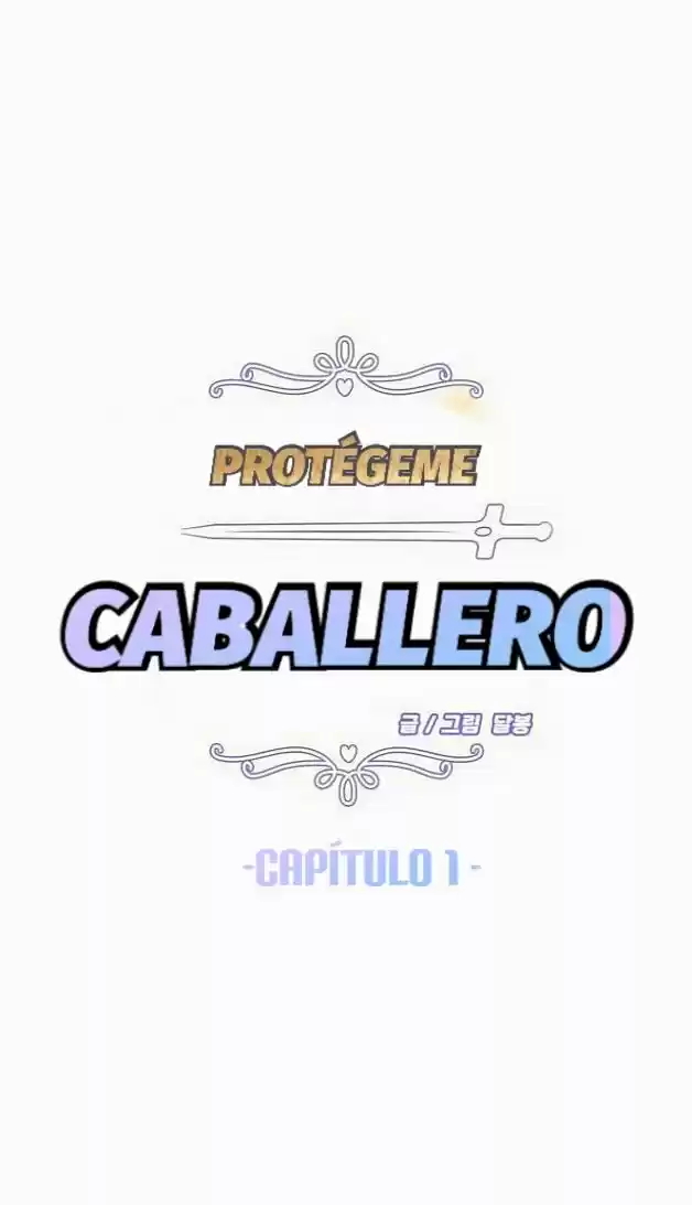 Protégeme Caballero capítulo 1, página 8