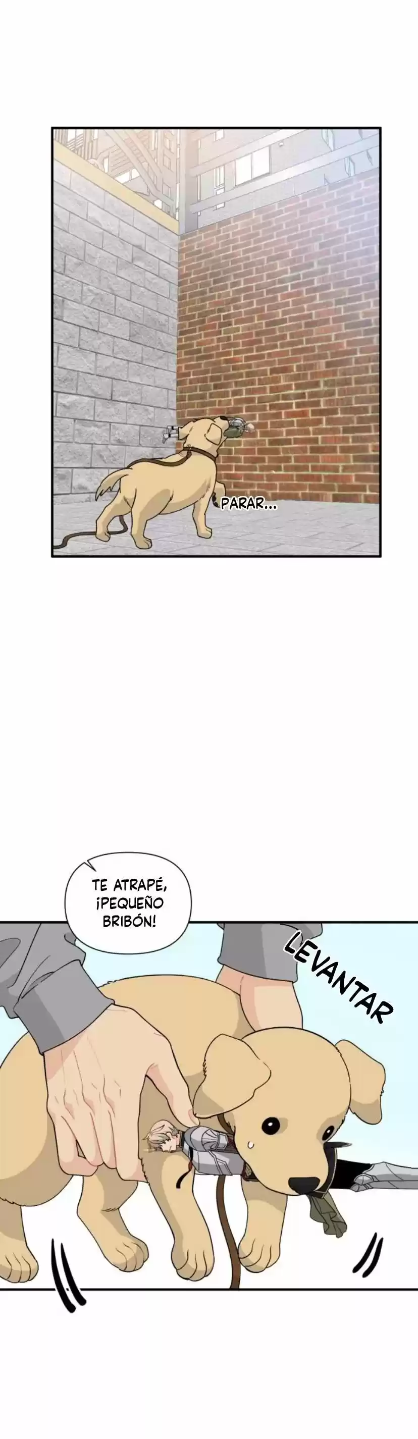 Protégeme Caballero capítulo 8, página 34