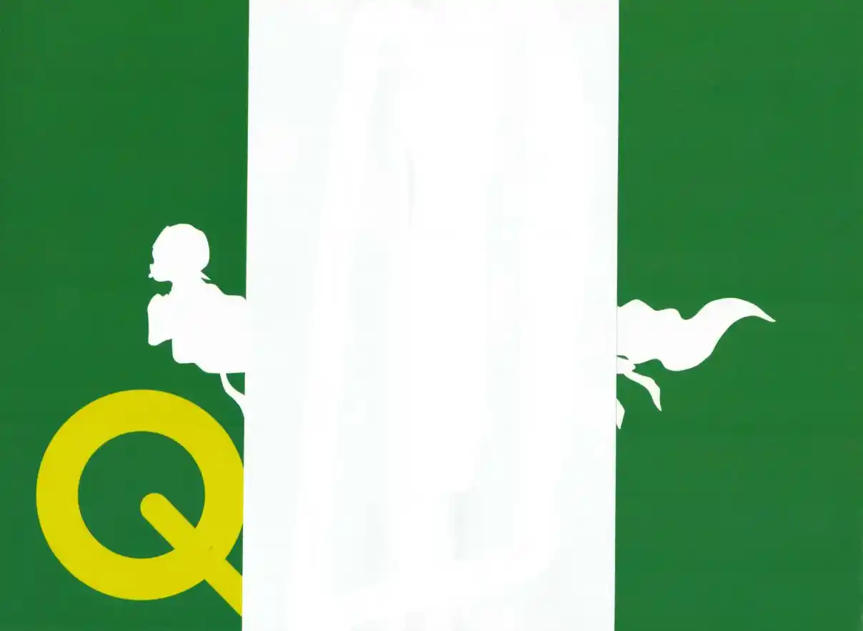Q & A capítulo 30, página 2