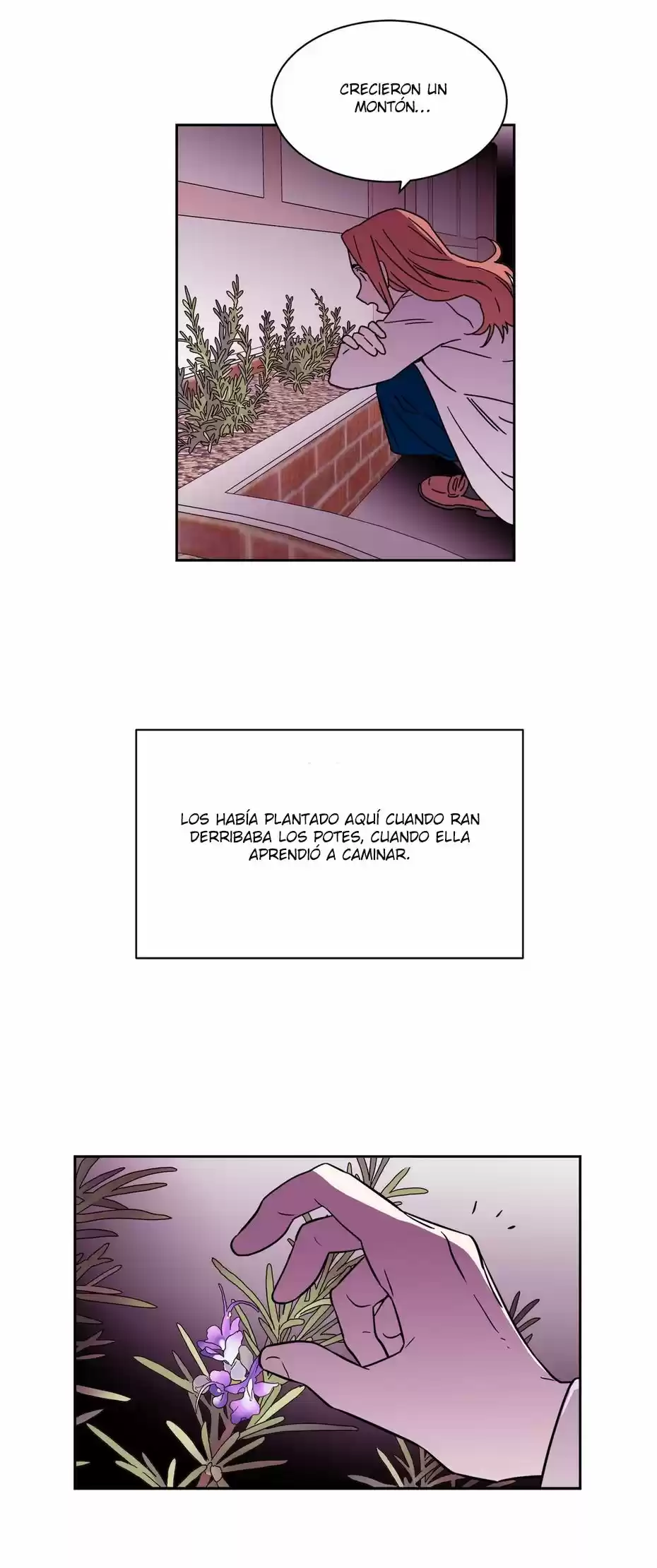 Que Sera, Sera capítulo 62, página 25