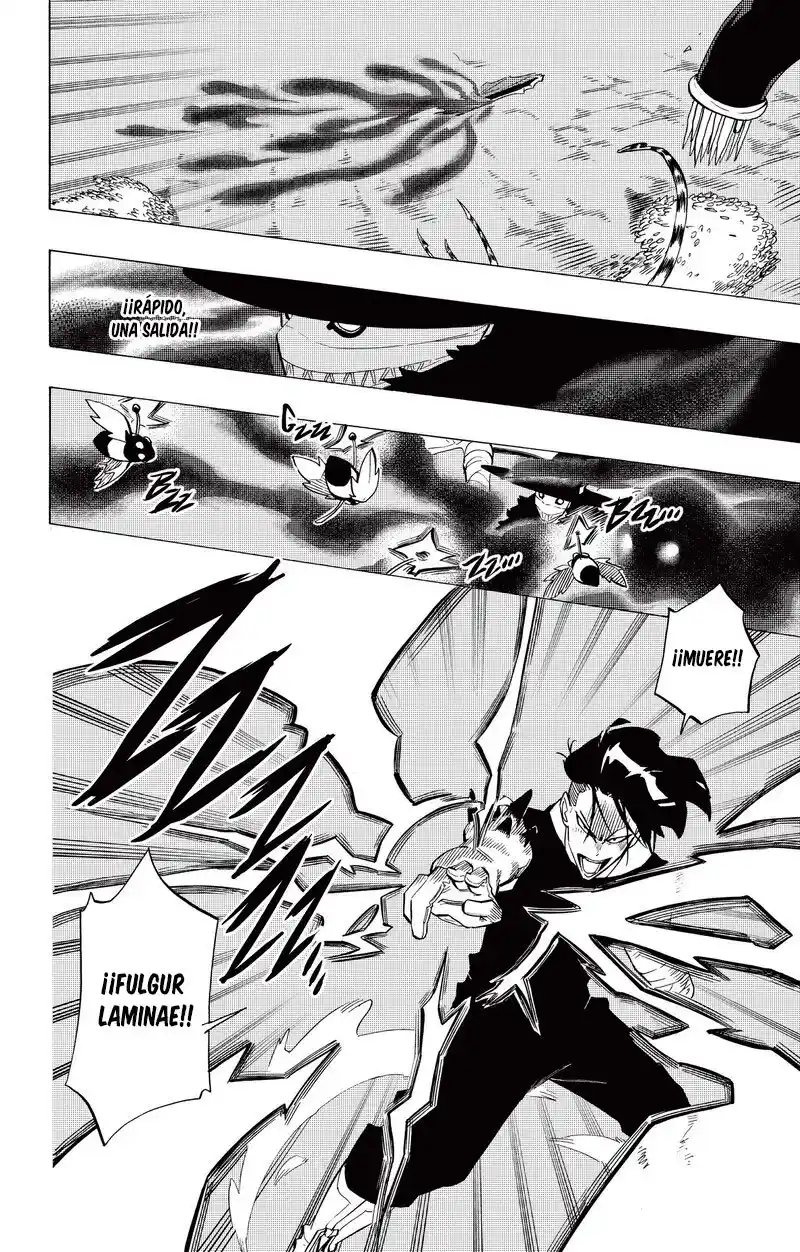 Radiant capítulo 126, página 16