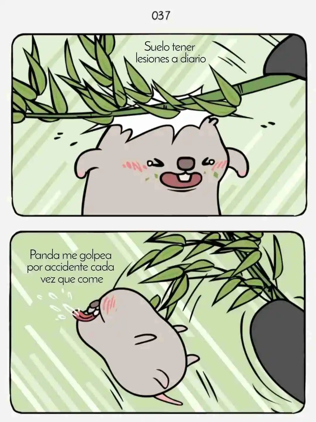 Rata Y Panda capítulo 13, página 4