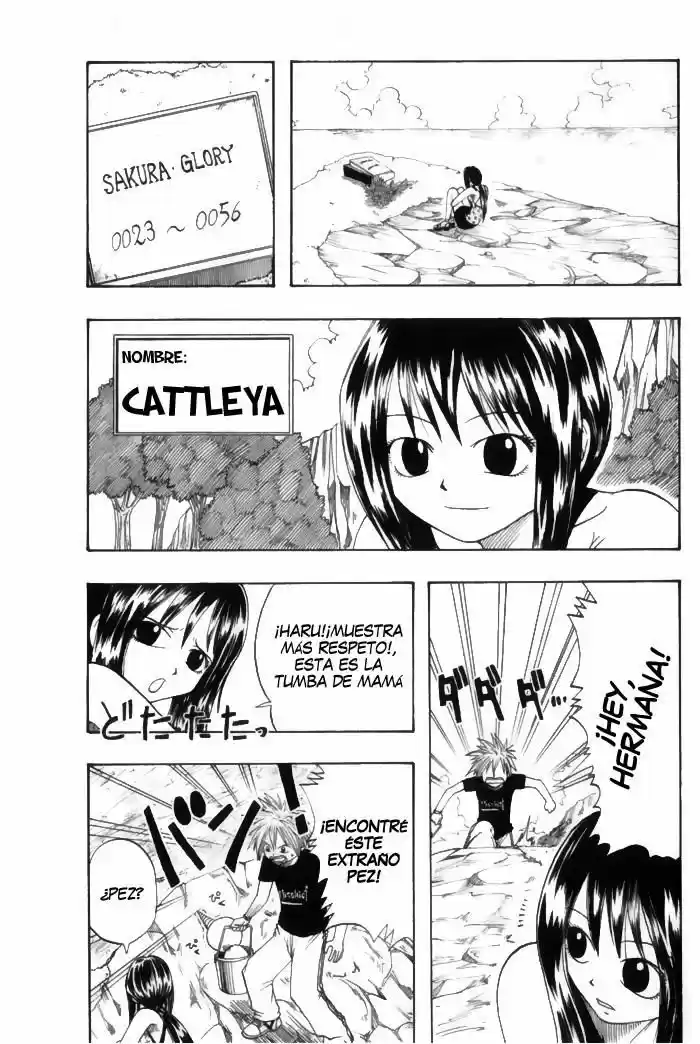 Rave Master capítulo 1, página 11