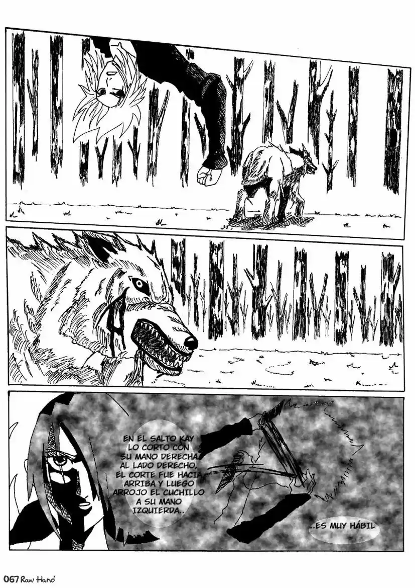 Raw Hand capítulo 39, página 67
